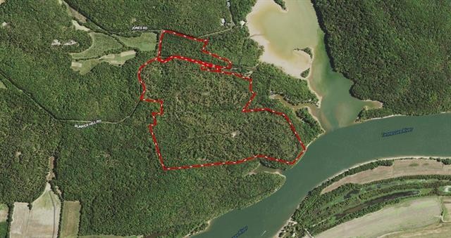 0 Lady Finger Bluff Road Linden, TN 37096 - Photo 2 of 28 Gallery Image 2
