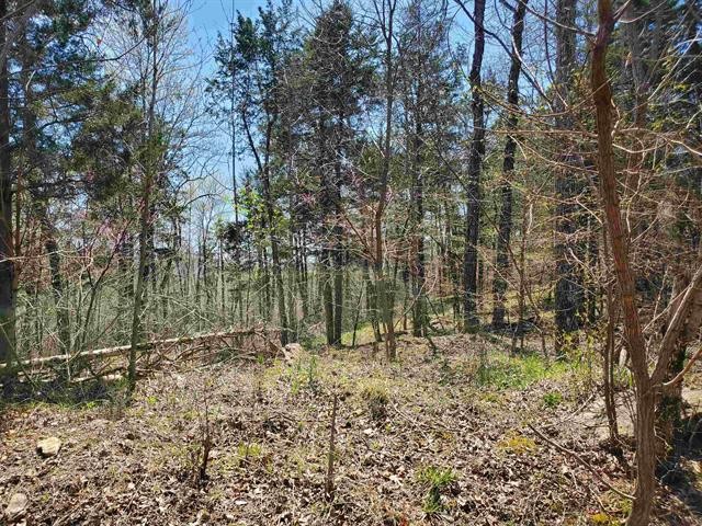 0 Lady Finger Bluff Road Linden, TN 37096 - Photo 21 of 28 Gallery Image 21