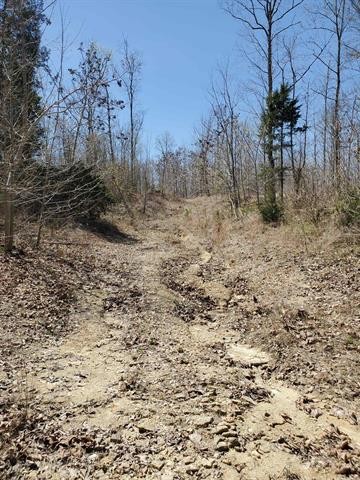 0 Lady Finger Bluff Road Linden, TN 37096 - Photo 22 of 28 Gallery Image 22