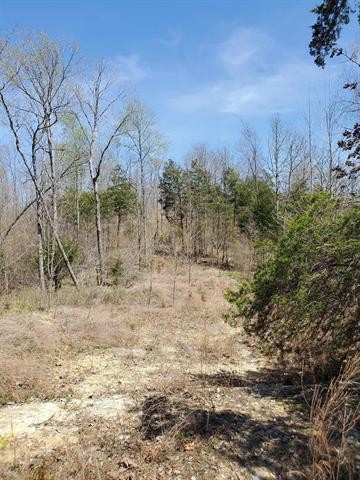 0 Lady Finger Bluff Road Linden, TN 37096 - Photo 24 of 28 Gallery Image 24