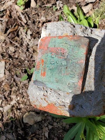 0 Lady Finger Bluff Road Linden, TN 37096 - Photo 26 of 28 Gallery Image 26