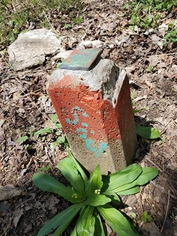 0 Lady Finger Bluff Road Linden, TN 37096 - Photo 27 of 28 Gallery Image 27