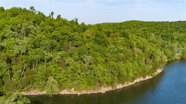 0 Lady Finger Bluff Road Linden, TN 37096 - Photo 3 of 28 Gallery Image 3