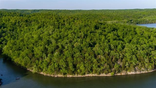 0 Lady Finger Bluff Road Linden, TN 37096 - Photo 5 of 28 Gallery Image 5
