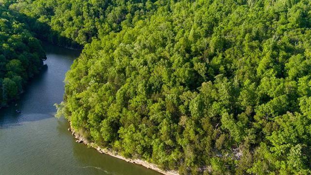 0 Lady Finger Bluff Road Linden, TN 37096 - Photo 6 of 28 Gallery Image 6