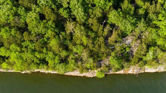 0 Lady Finger Bluff Road Linden, TN 37096 - Photo 8 of 28 Gallery Image 8