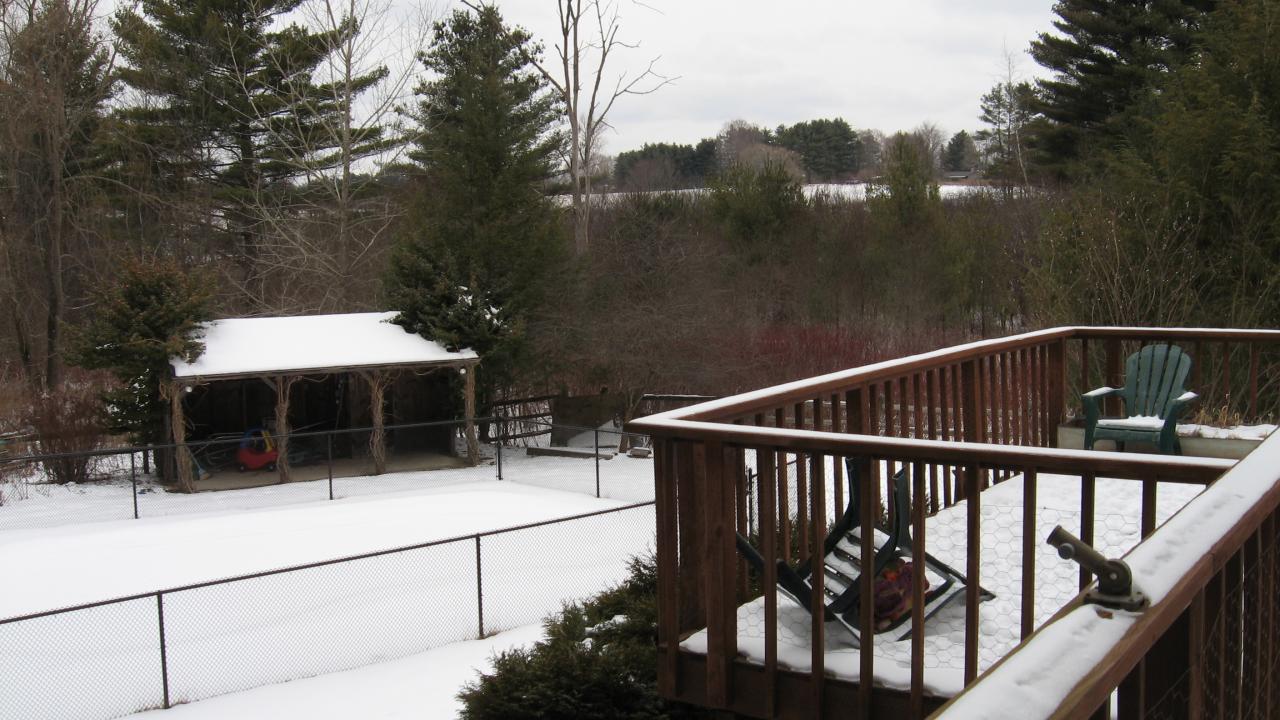 back yard
