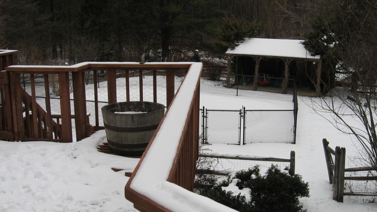 back yard - 2nd view