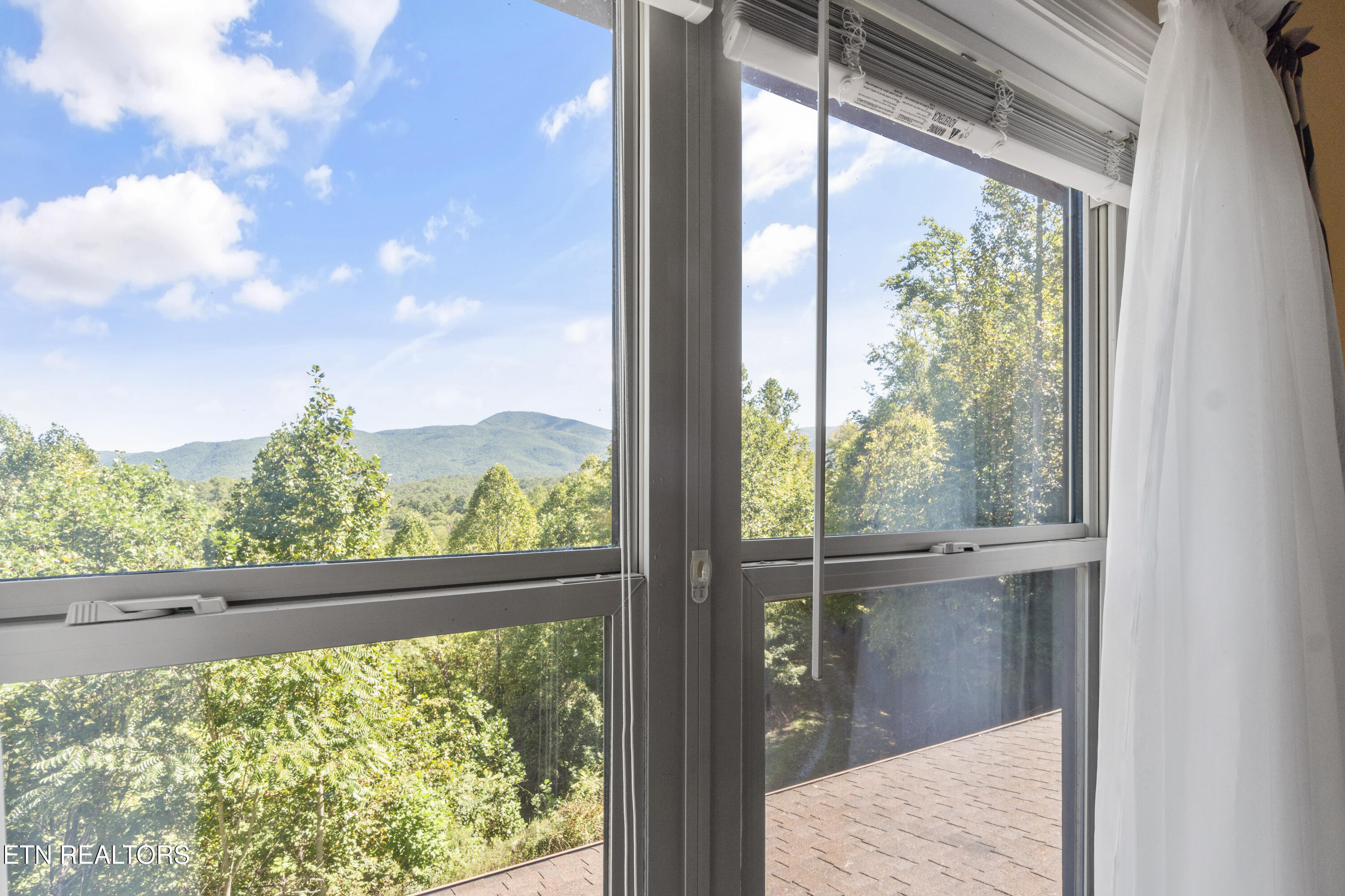 199 Pear Tree Way Del Rio, TN 37727 - Photo 24 of 59 DSC08232