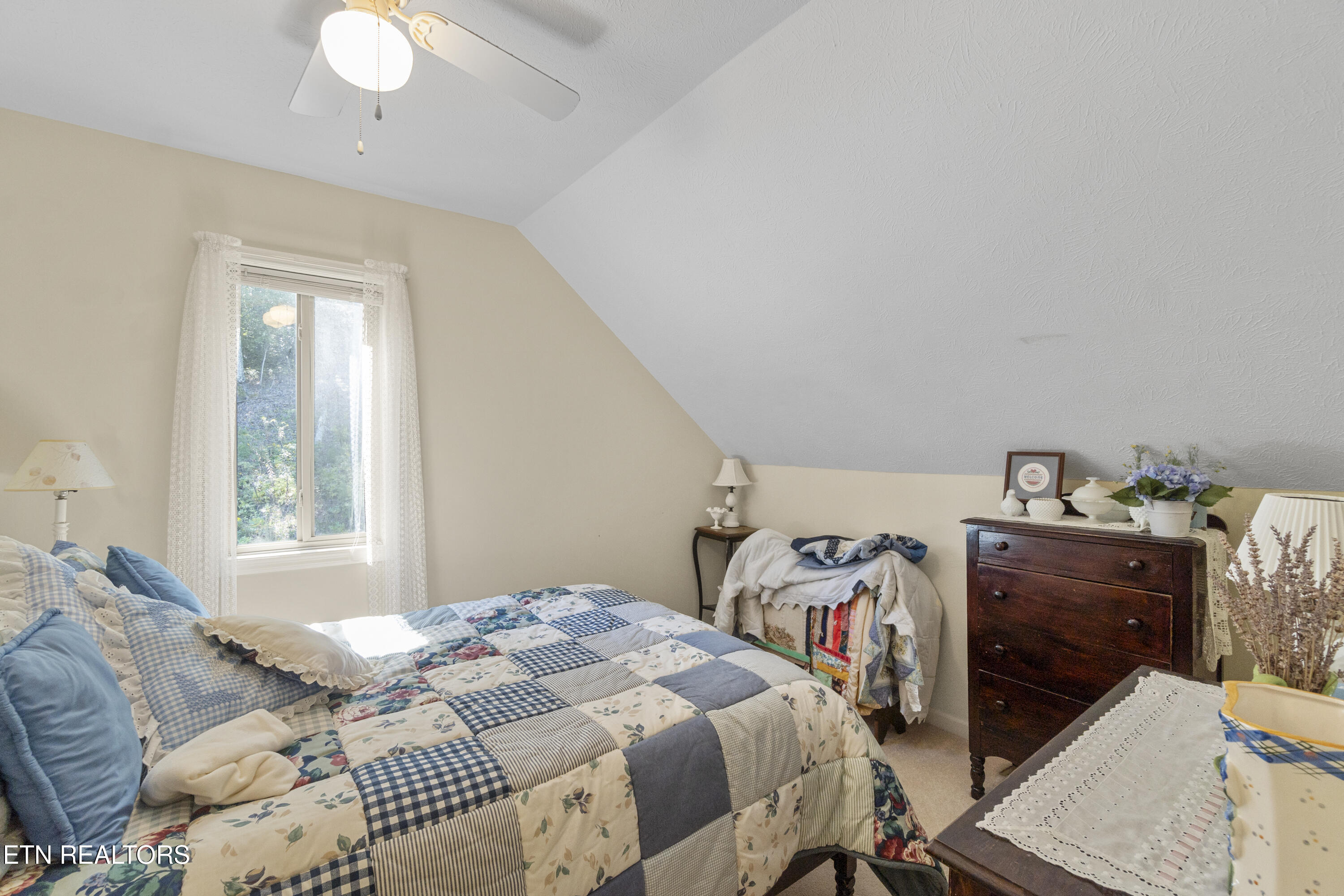 199 Pear Tree Way Del Rio, TN 37727 - Photo 26 of 59 DSC08244