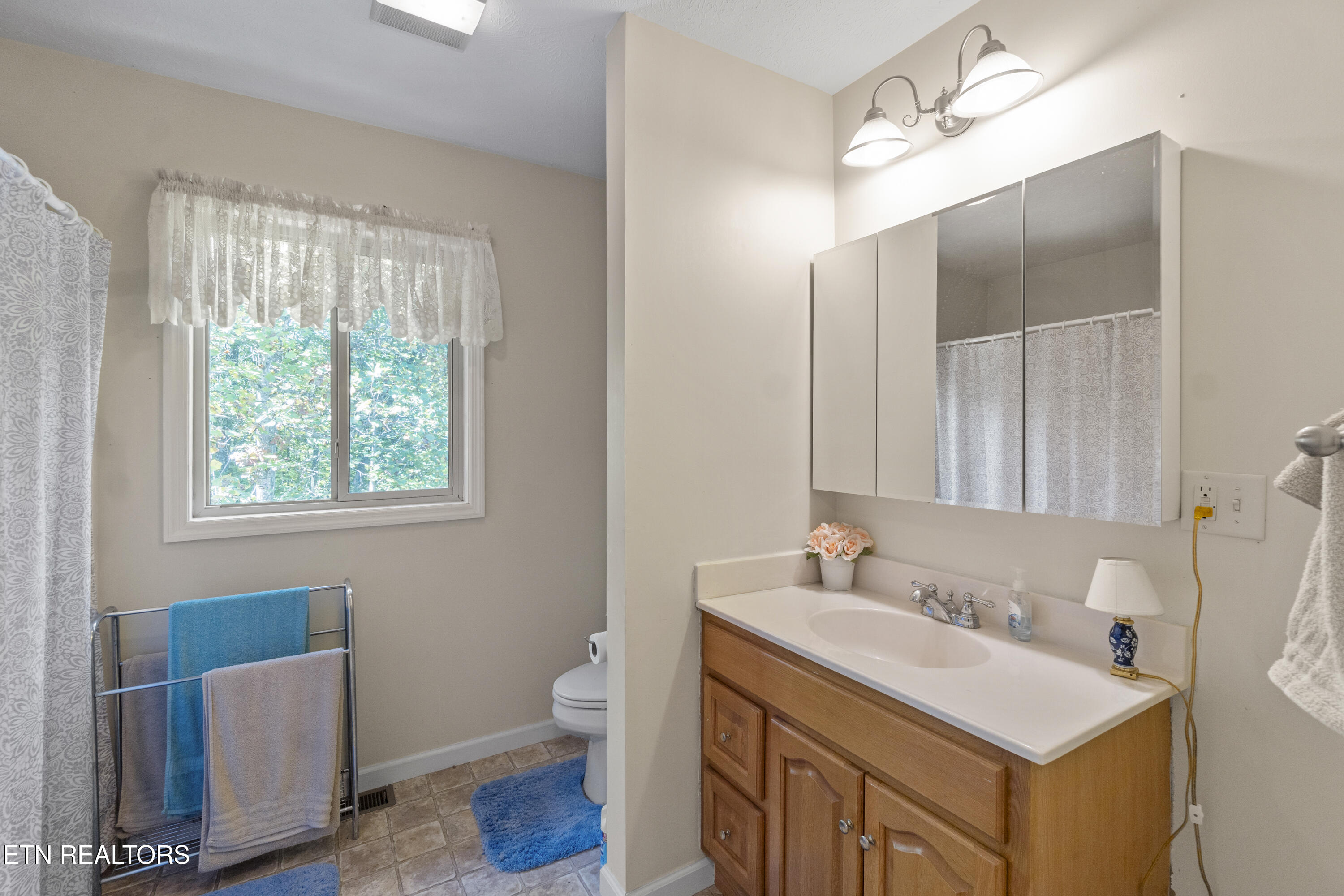 199 Pear Tree Way Del Rio, TN 37727 - Photo 29 of 59 DSC08250