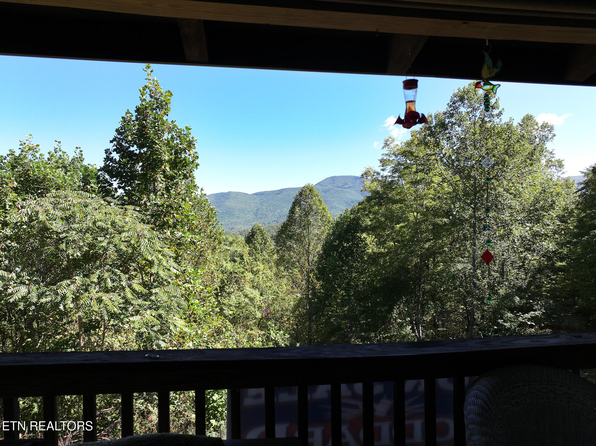 199 Pear Tree Way Del Rio, TN 37727 - Photo 31 of 59 DJI_20250929153325_0351_D