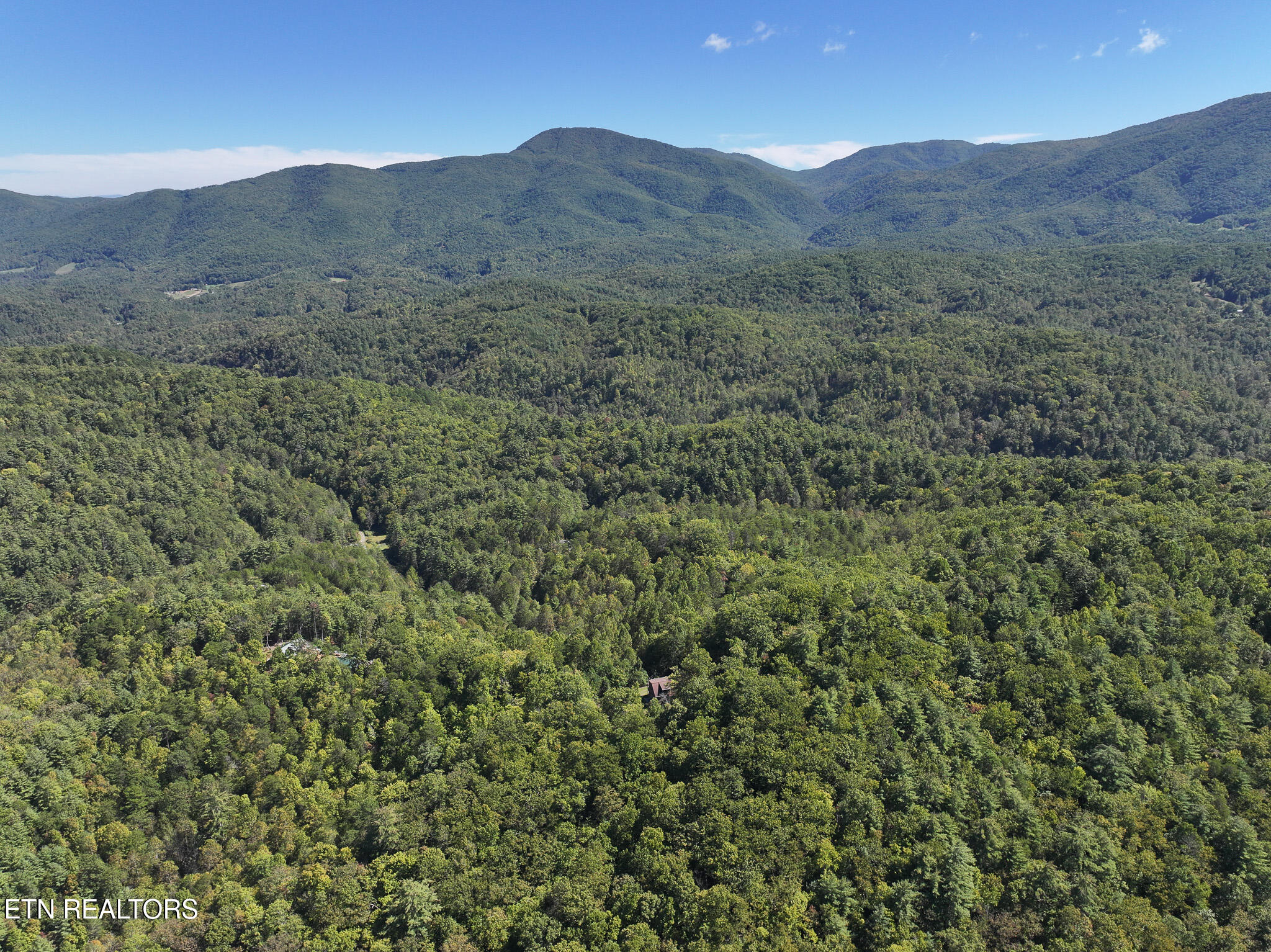 199 Pear Tree Way Del Rio, TN 37727 - Photo 39 of 59 DJI_20250929154654_0393_D