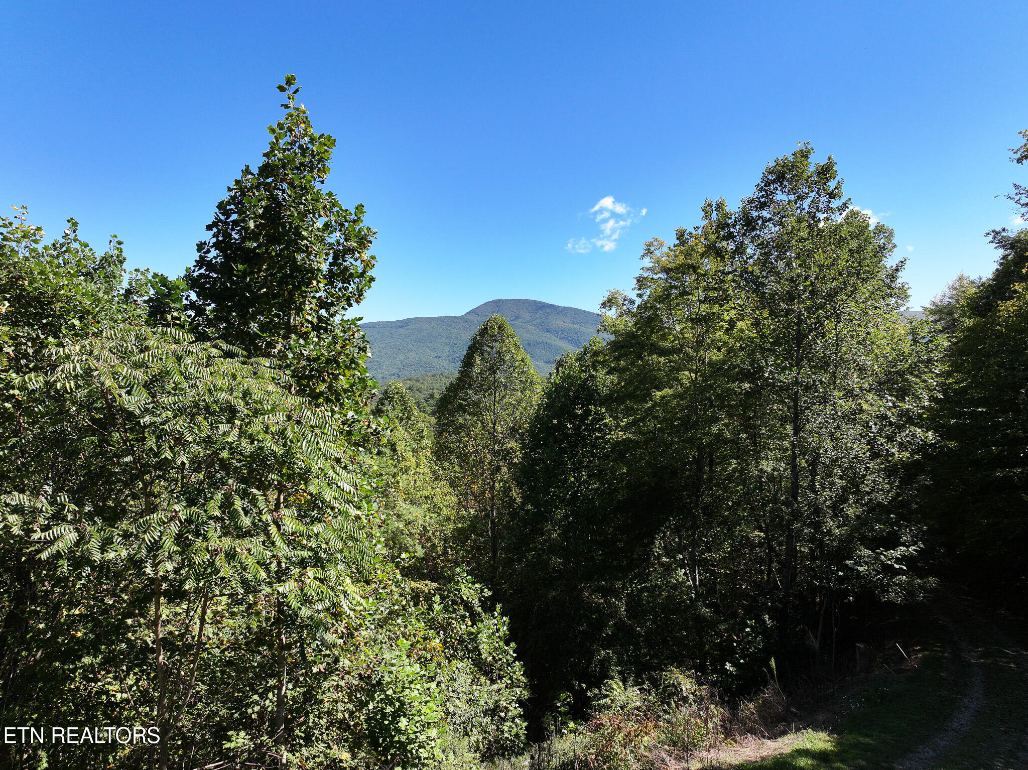 199 Pear Tree Way Del Rio, TN 37727 - Photo 40 of 59 DJI_20250929153343_0353_D