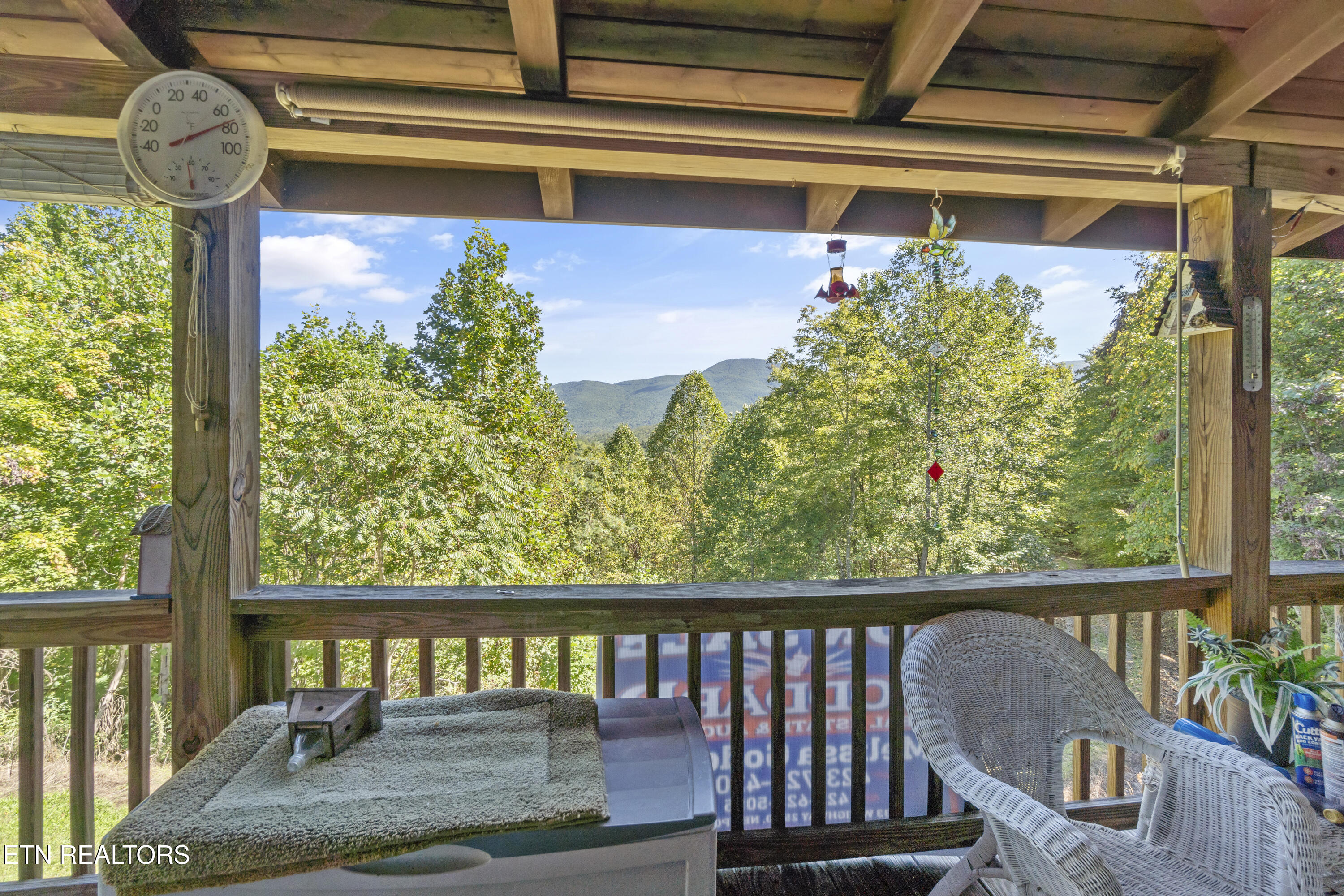 199 Pear Tree Way Del Rio, TN 37727 - Photo 46 of 59 DSC08220