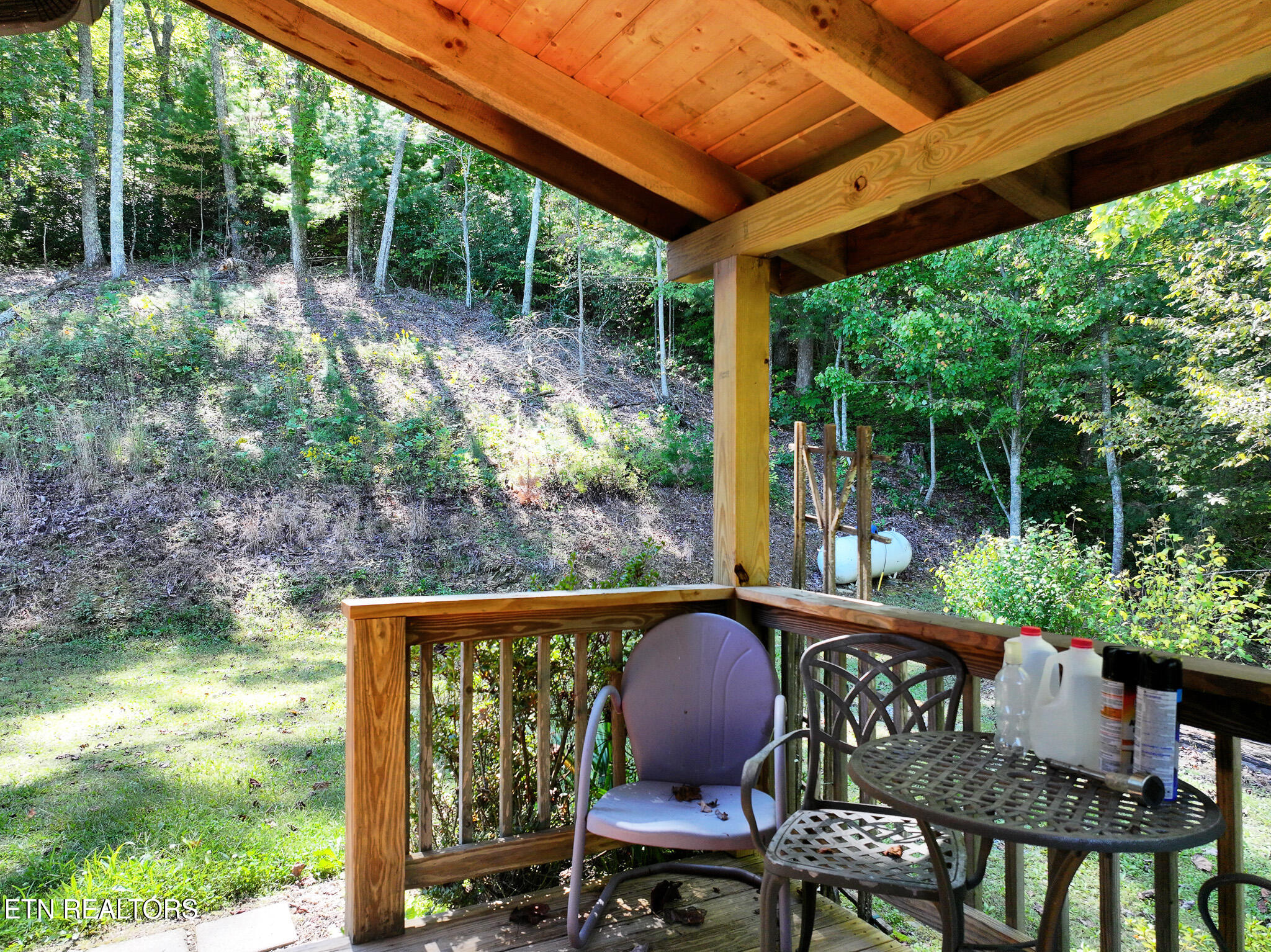 199 Pear Tree Way Del Rio, TN 37727 - Photo 49 of 59 DJI_20250929153257_0349_D