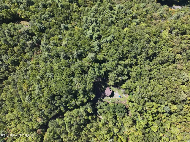 $549,000 | 199 Pear Tree Way, Del Rio, TN 37727