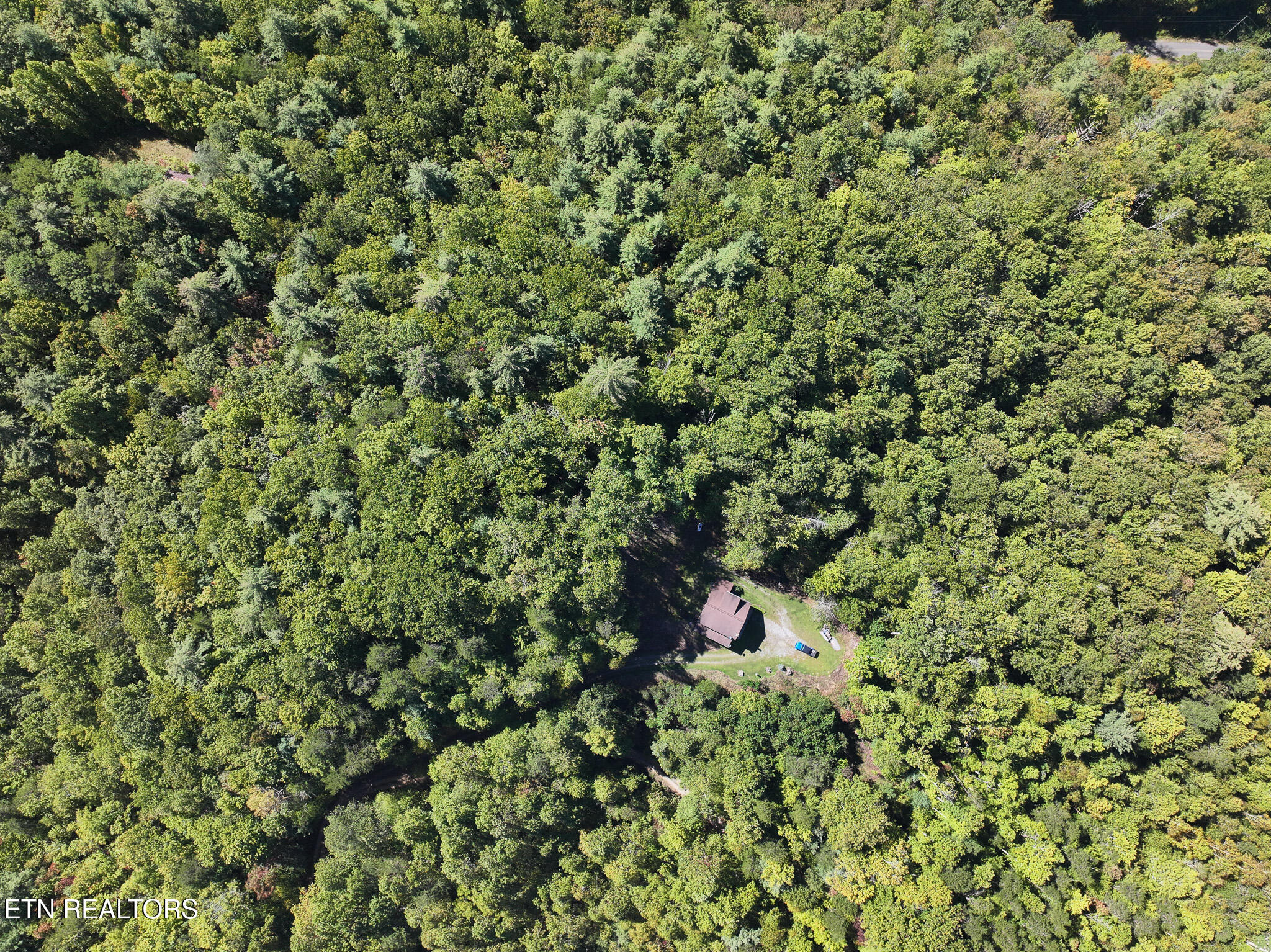 199 Pear Tree Way Del Rio, TN 37727 - Photo 54 of 59 DJI_20250929154510_0383_D