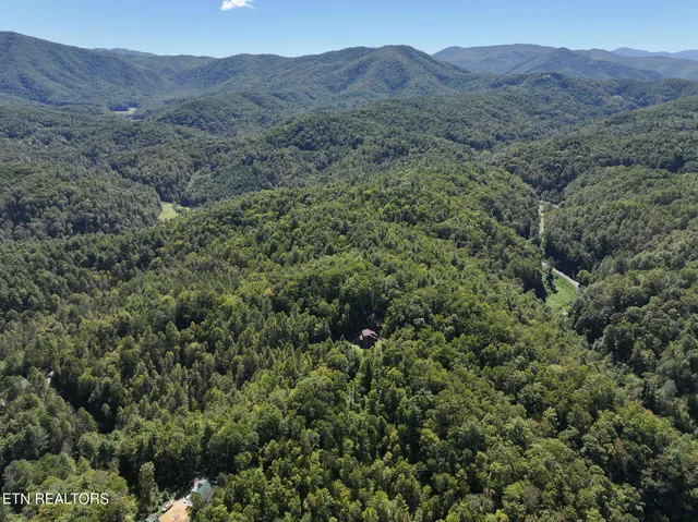 $549,000 | 199 Pear Tree Way, Del Rio, TN 37727