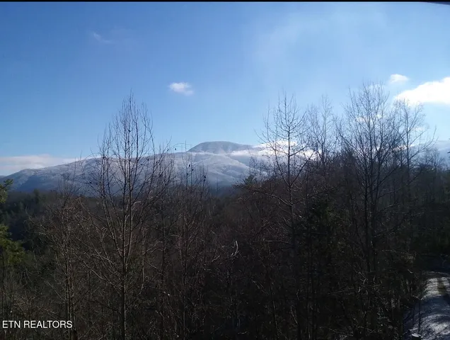 $549,000 | 199 Pear Tree Way, Del Rio, TN 37727