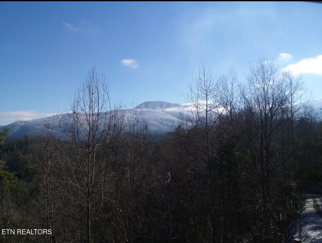 199 Pear Tree Way Del Rio, TN 37727 - Photo 59 of 59 IMG_1280