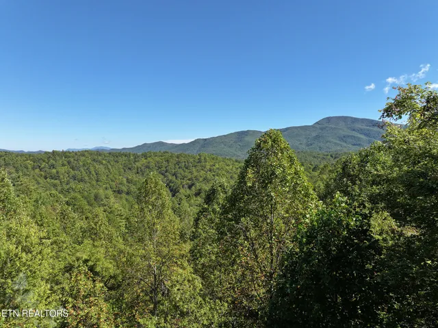 $549,000 | 199 Pear Tree Way, Del Rio, TN 37727