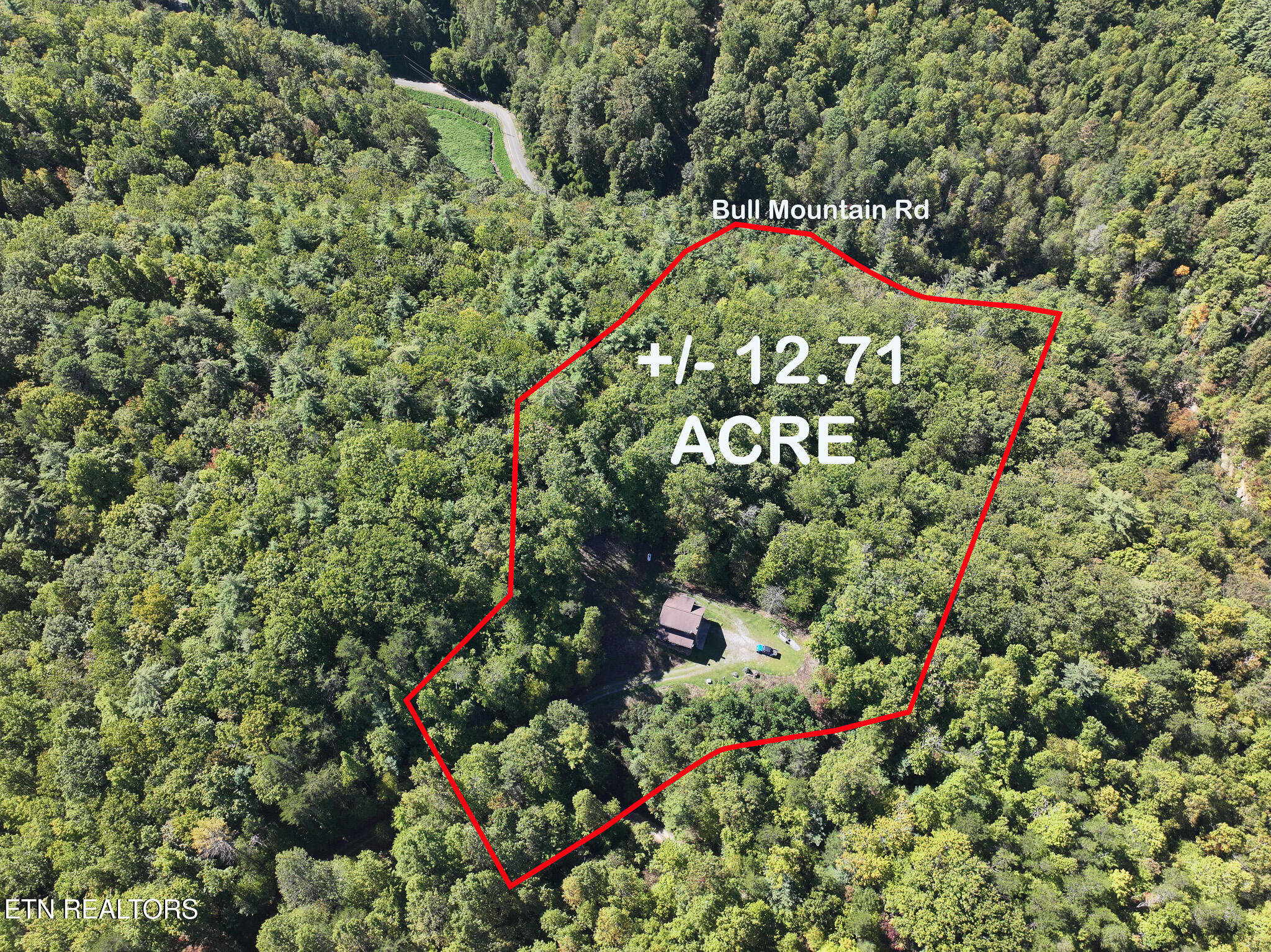 199 Pear Tree Way Del Rio, TN 37727 - Photo 10 of 59 DJI_20250929154525_0384_D-Edit