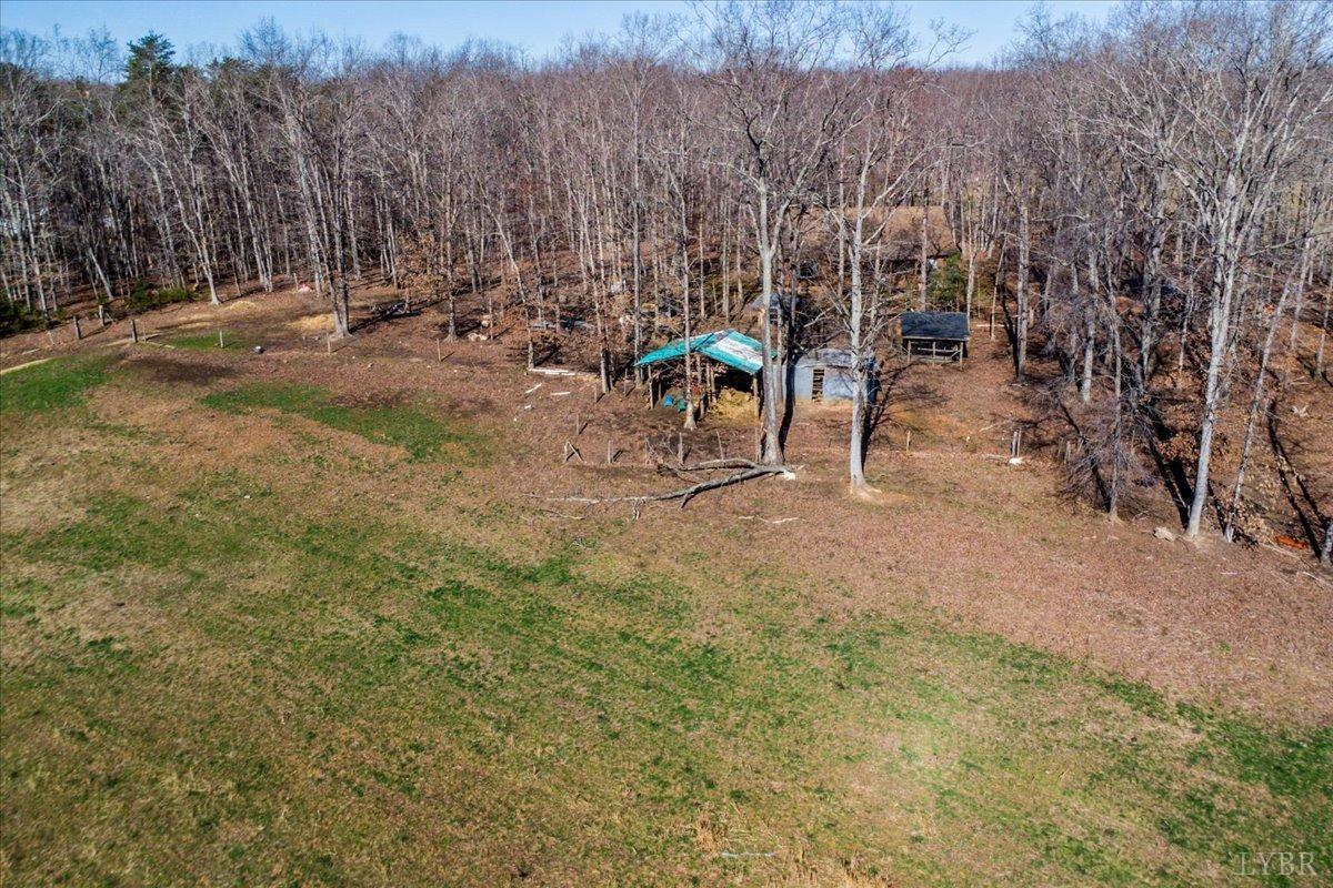 2192 Hixburg Road Pamplin, VA 23958 - Photo 24 of 31 a view of a forest with trees