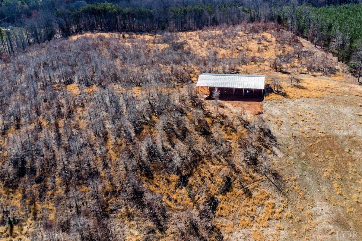 2192 Hixburg Road Pamplin, VA 23958 - Photo 26 of 31 a view of a yard with a tree