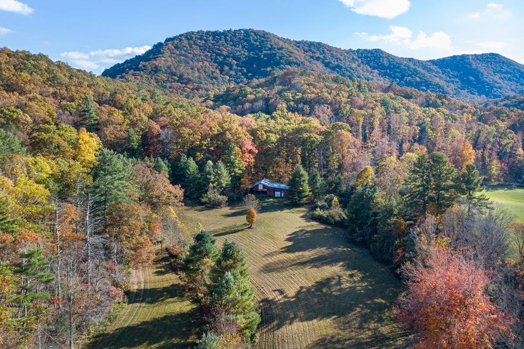 4149 Suiter Road Bastian, VA 24314 - Photo 81 of 98 Gallery Image 81