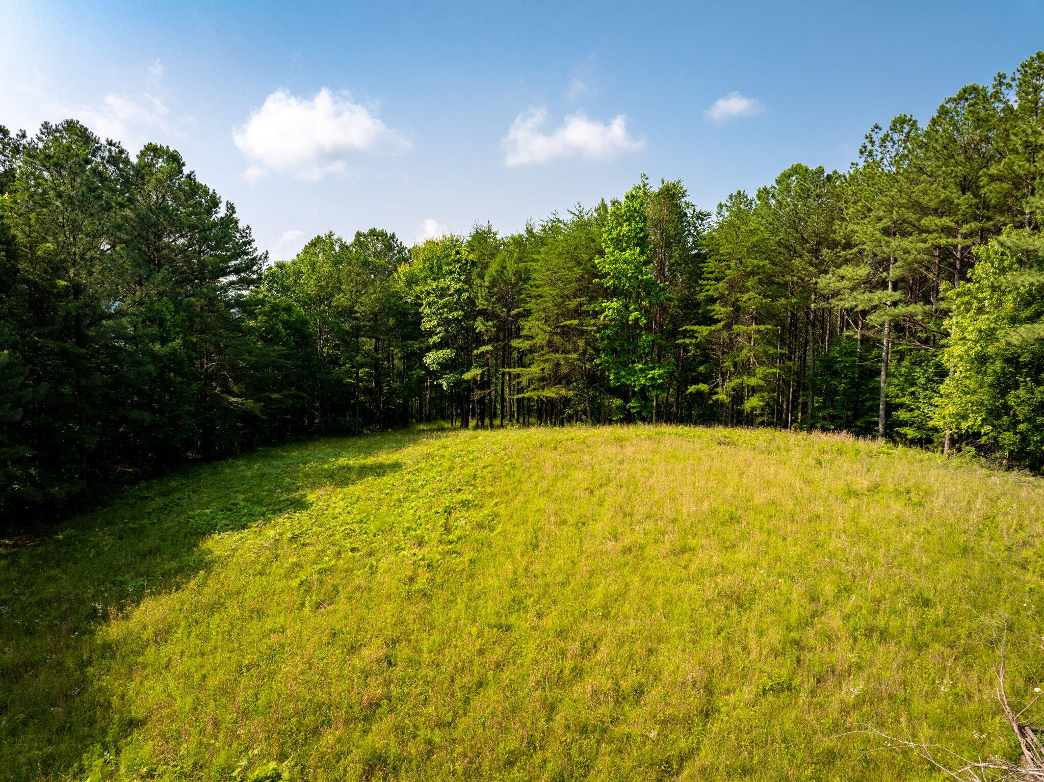 0 Split Rail Way, Unit LOT 1379 Guild, TN 37340 - Photo 10 of 30 10-web-or-mls-DJI_20250604072345_0816_D-