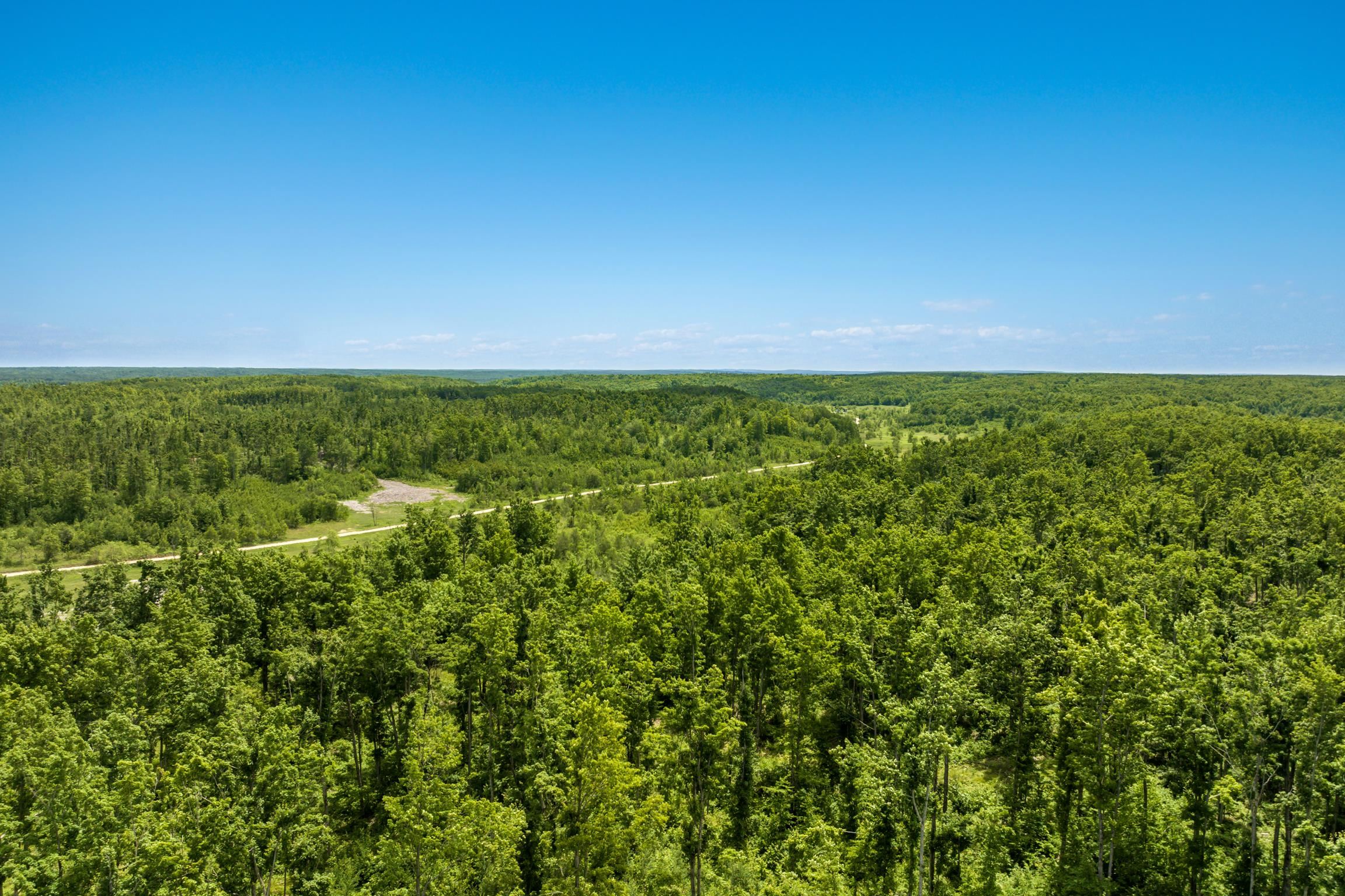 0 Mt Frederick Road Frederic, MI 49733 - Photo 2 of 17 1947156-2ea0fe83-ec6b-41ed-9237-f0a90d4da1ac.JPG