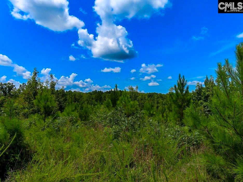 529 Martin Road Winnsboro, SC 29180 - Photo 38 of 83 Gallery Image 38