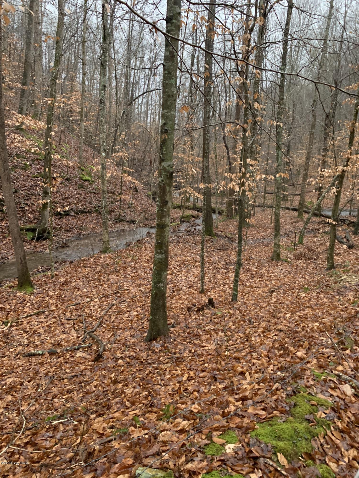 200 Willard Stone Road Breeding, KY 42715 - Photo 11 of 23 119