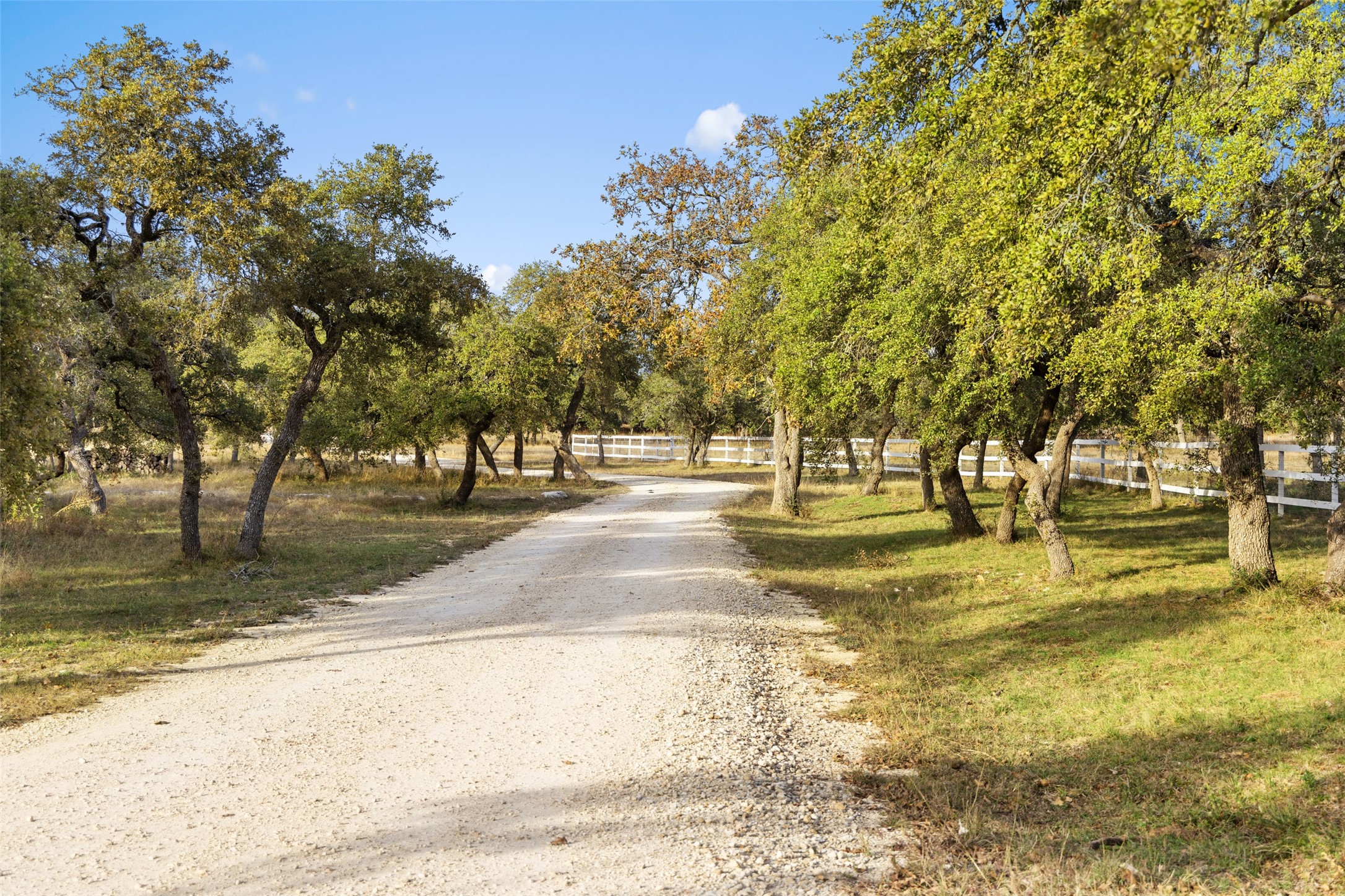 751 Prochnow Road Dripping Springs, TX 78620 - Photo 19 of 40 View of road featuring a rural view