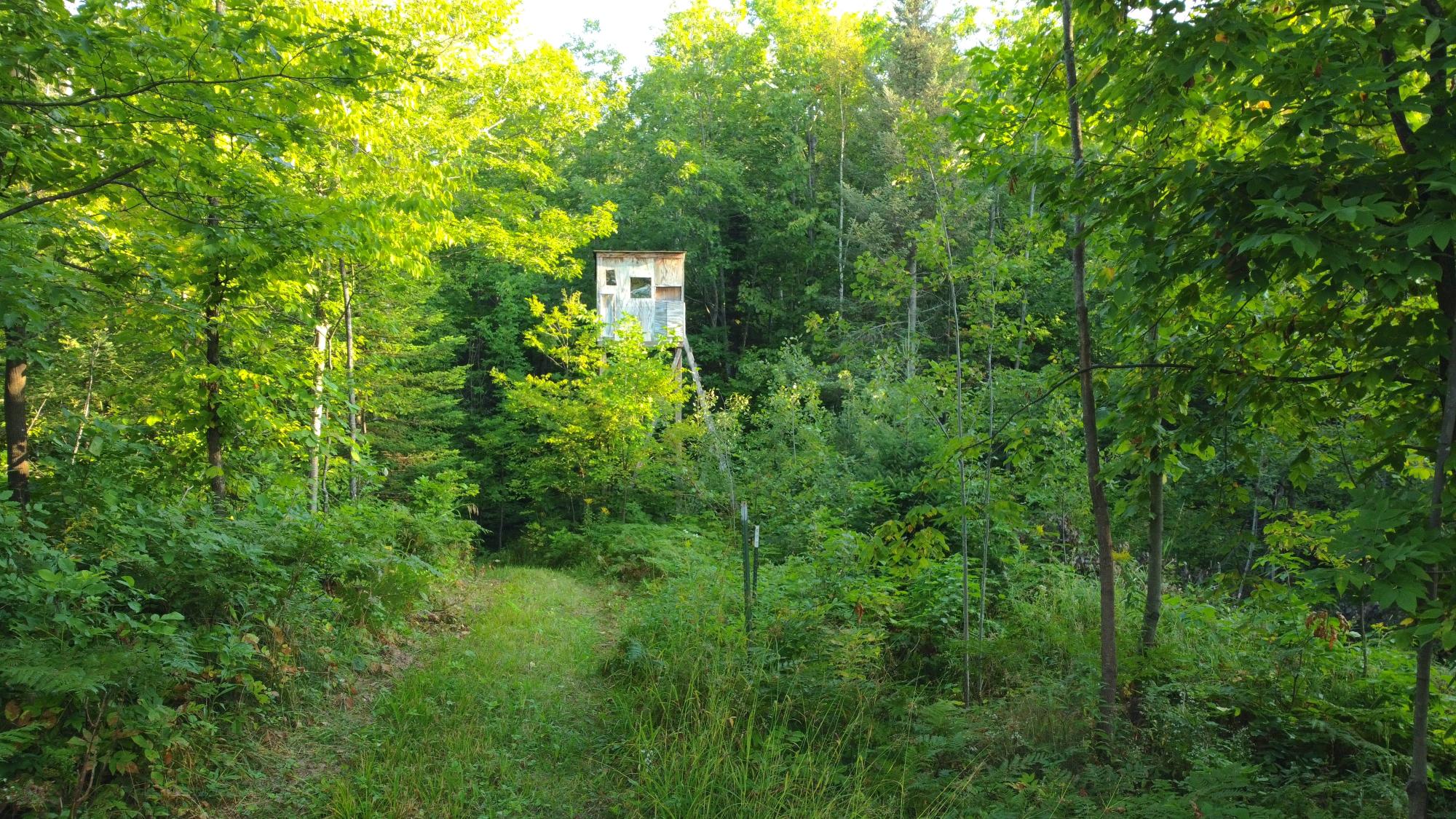 60240 Stuart Road Mason, WI 54856 - Photo 56 of 99 Gallery Image 56