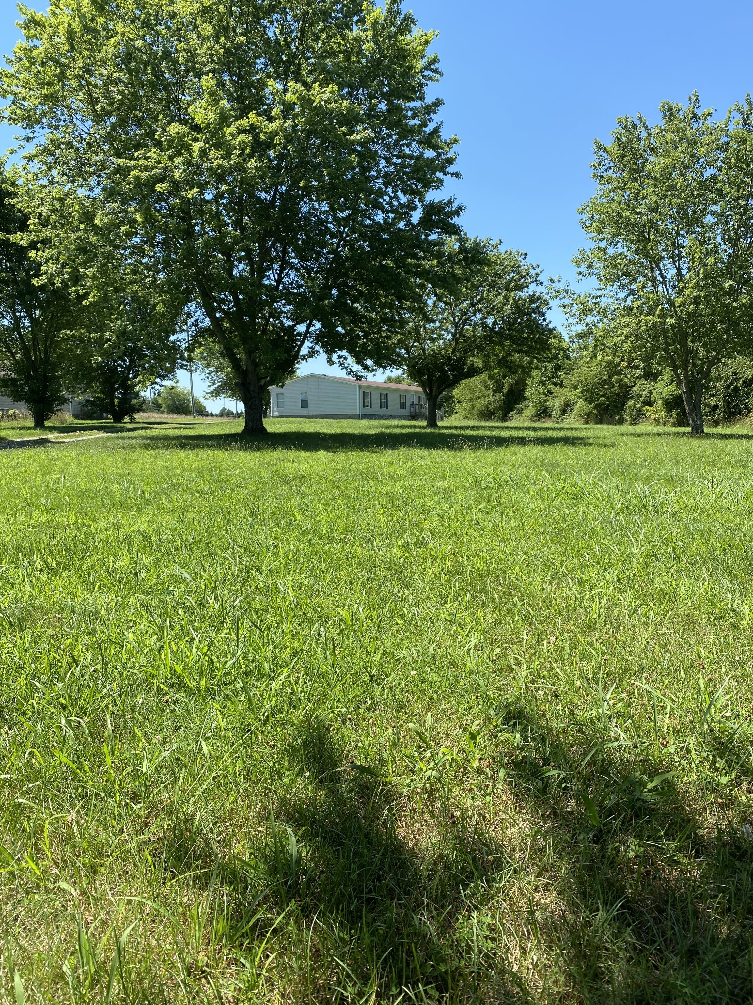 176 Shuab Road Portland, TN 37148 - Photo 1 of 13