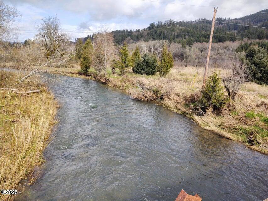 Three Three Rivers Highway Hebo, OR 97122 - Photo 3 of 11 Hunt, river east