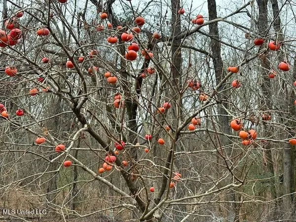 $369,900 | 1488 Hugh Taylor Road, Senatobia, MS 38668