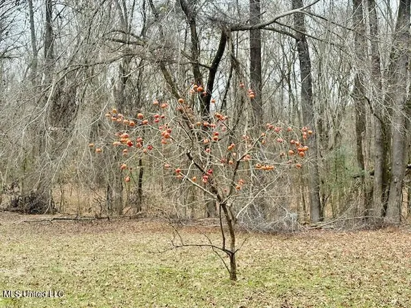 $369,900 | 1488 Hugh Taylor Road, Senatobia, MS 38668