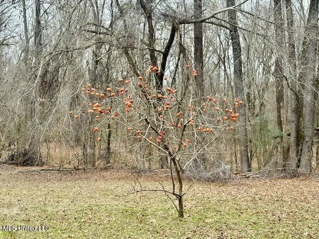 $379,900 | 1488 Hugh Taylor Road, Senatobia, MS 38668