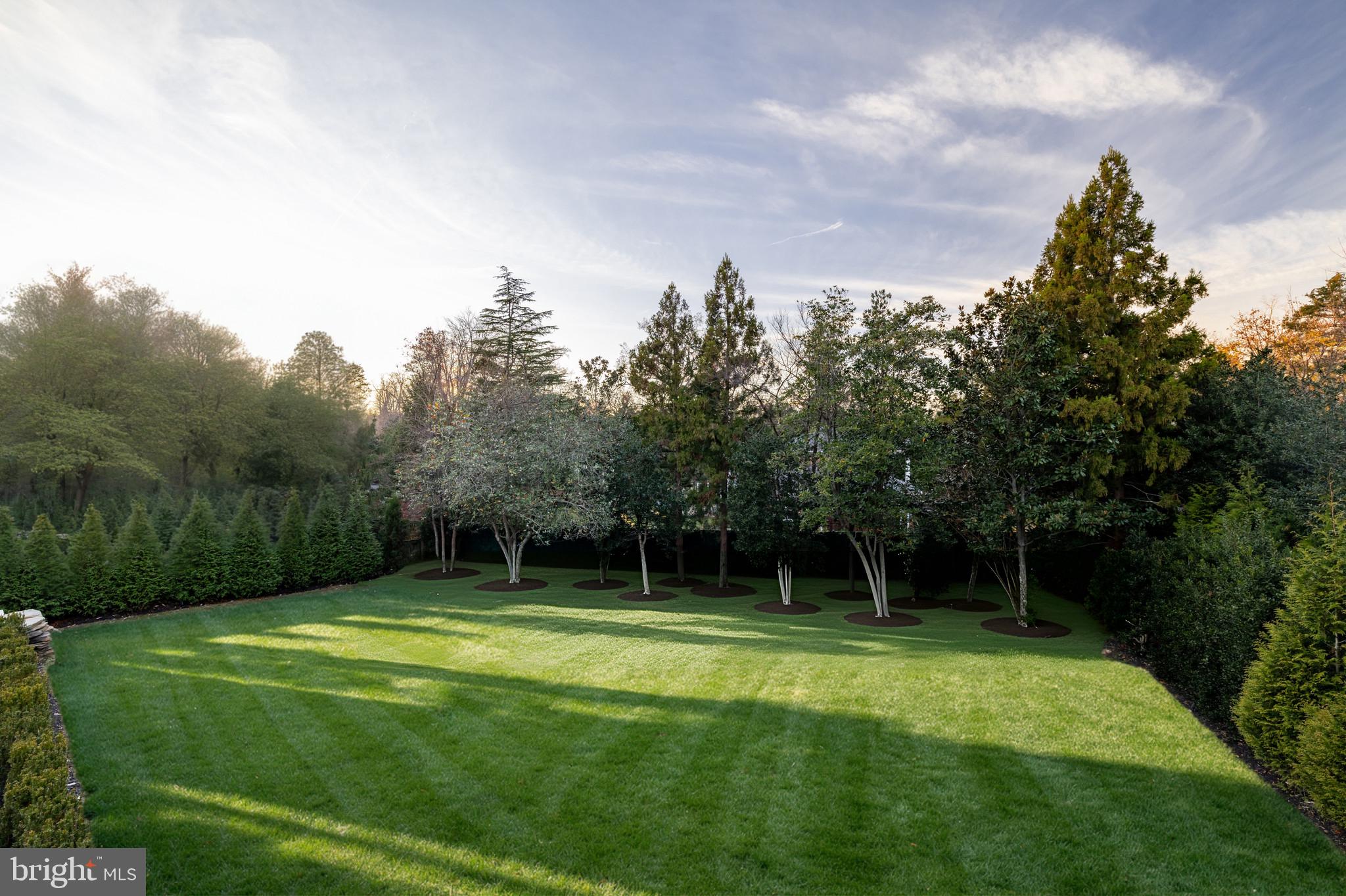 1102 Chain Bridge Road McLean, VA 22101 - Photo 14 of 50 a view of a backyard with a garden