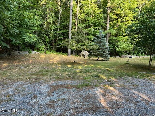 40 Finkle Farm Road Lake George, NY 12845 - Photo 24 of 33 IMG_4099