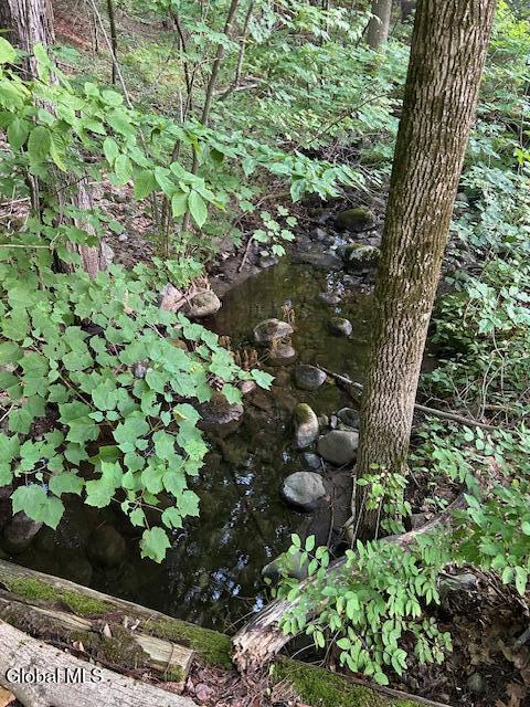 40 Finkle Farm Road Lake George, NY 12845 - Photo 24 of 33 IMG_4096