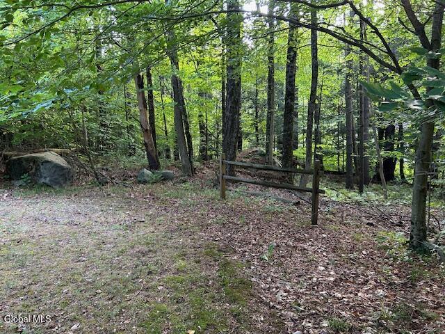 40 Finkle Farm Road Lake George, NY 12845 - Photo 29 of 33 IMG_4102