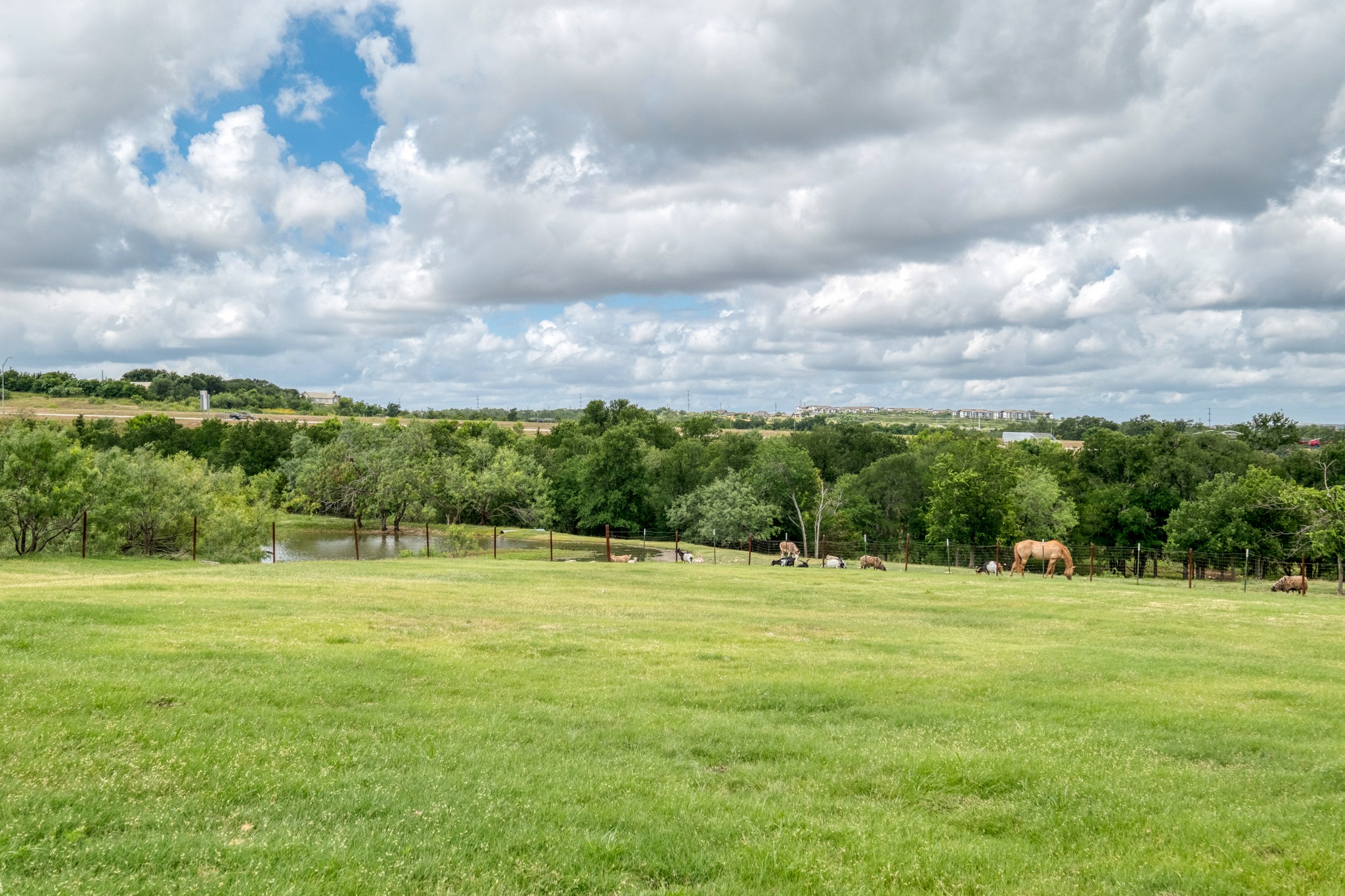 701 Berry Lane Georgetown, TX 78626 - Photo 8 of 37