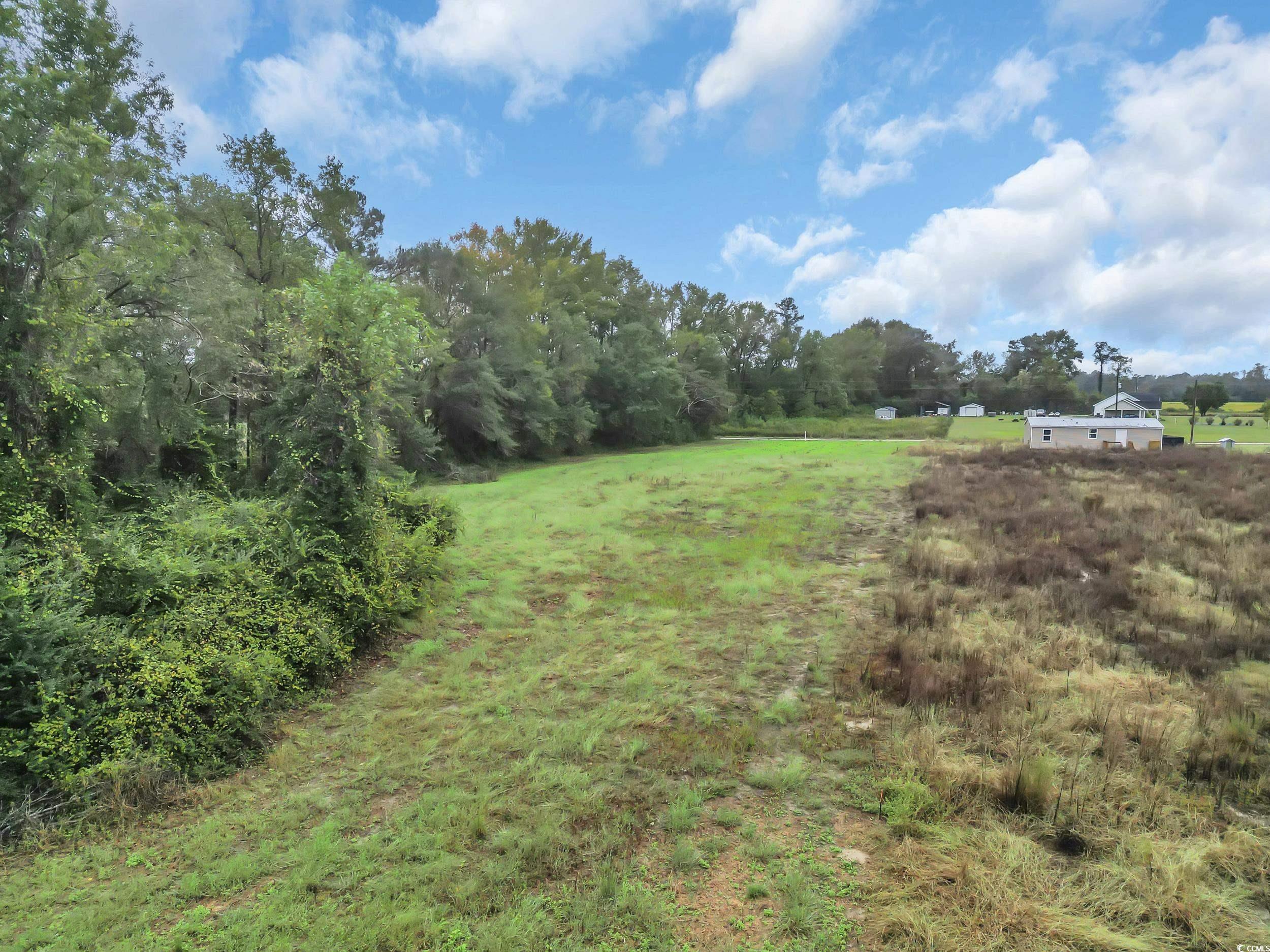 Tbd Willow Grove Drive Loris, SC 29569 - Photo 18 of 34