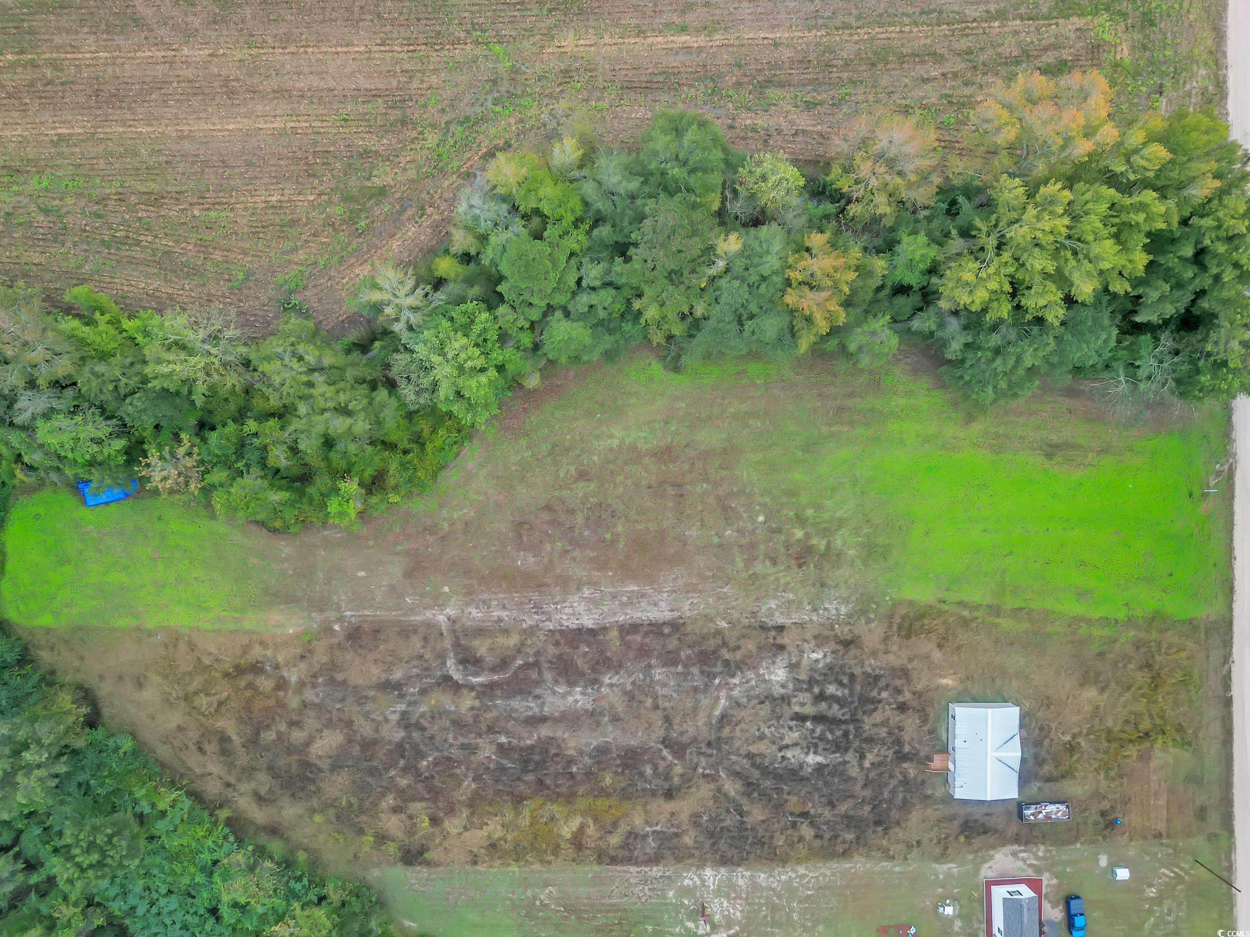 Tbd Willow Grove Drive Loris, SC 29569 - Photo 10 of 34