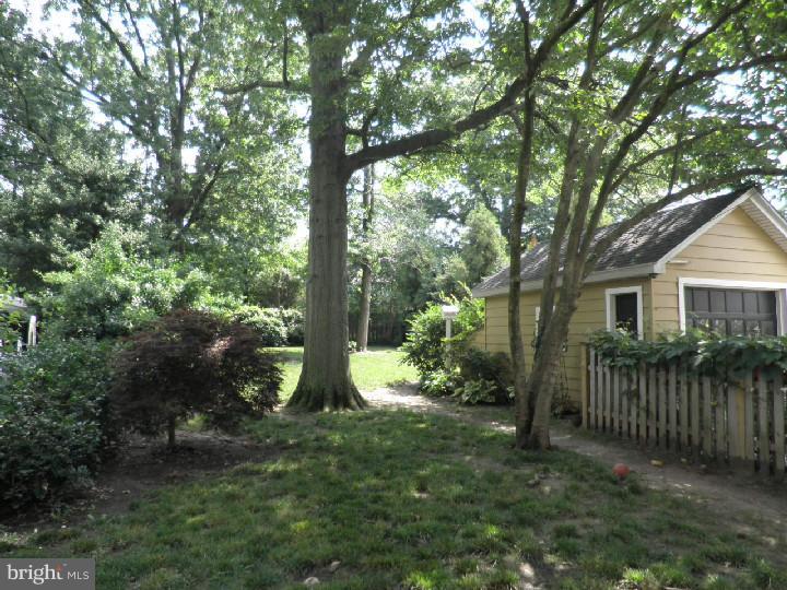 741 Amherst Road Audubon, NJ 08106 - Photo 24 of 25 Back Yard