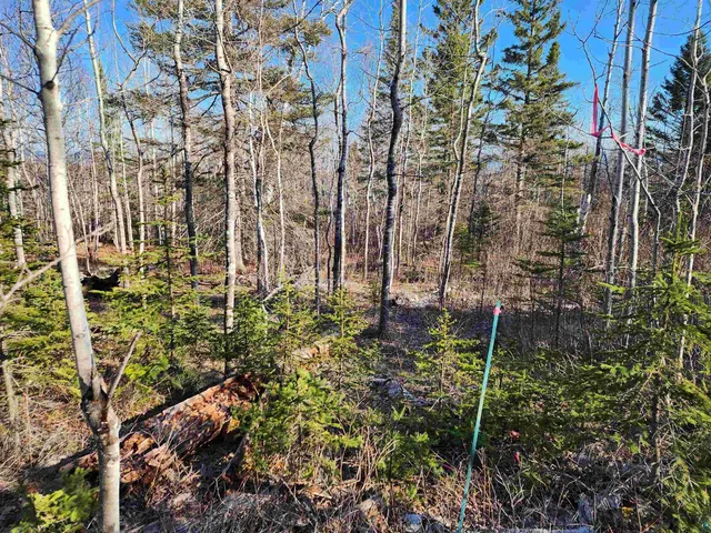 $479,000 | 61 Highway 61, Lutsen, MN 55612